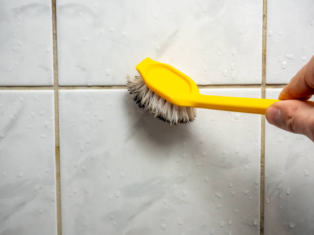 Best Emergency Mold Removal  in Oceanside, NY