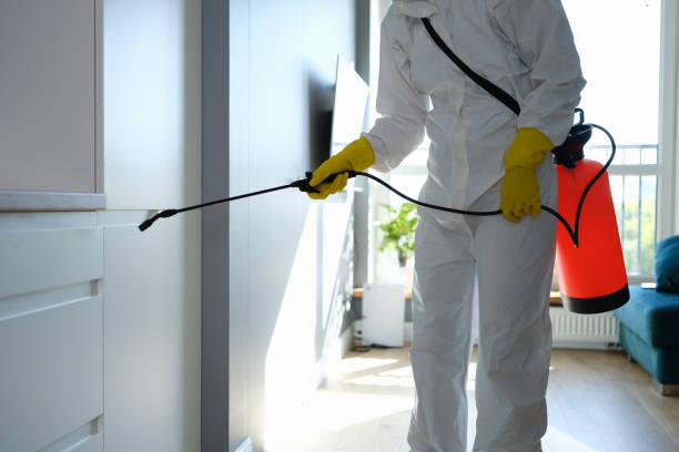 Mold Testing and Removal in Oceanside, NY